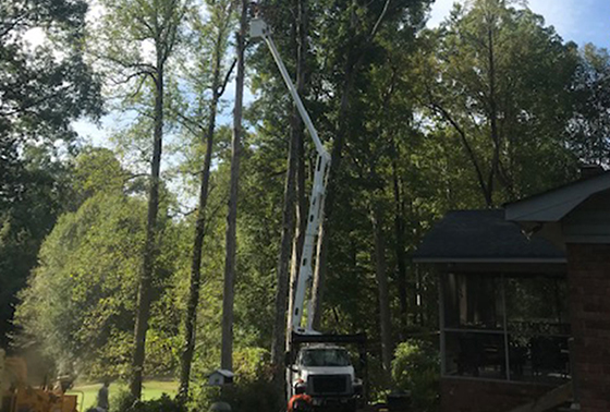 Preparing For The Storm | AB Tree Care - AB Tree Care Service